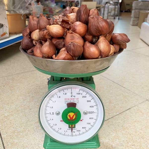 Hành Khô Thái Thuỵ 1kg