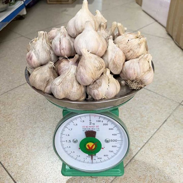 Tỏi Khô Thái Thuỵ 1kg